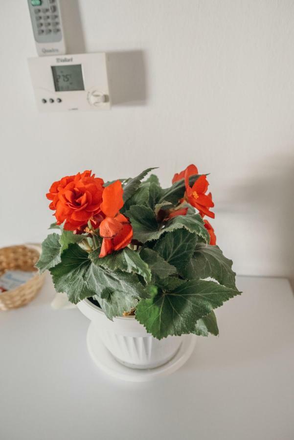 Apartman "Joka" Ðakovo Exteriör bild