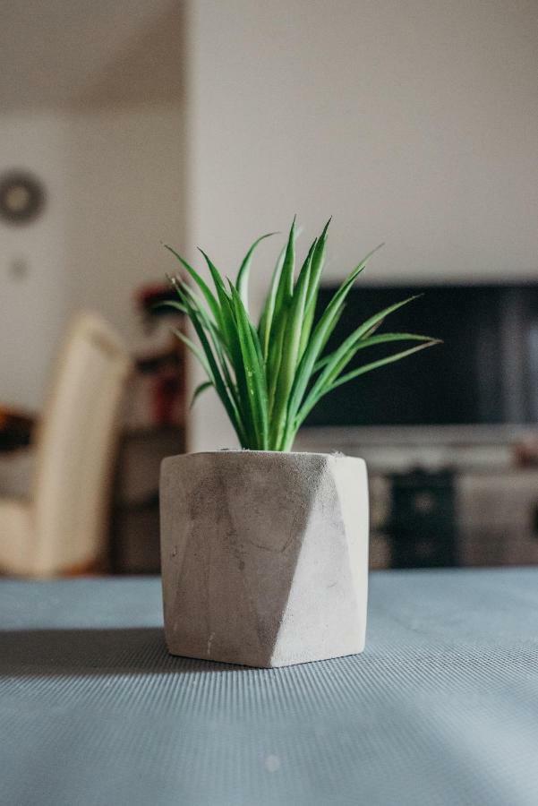 Apartman "Joka" Ðakovo Exteriör bild